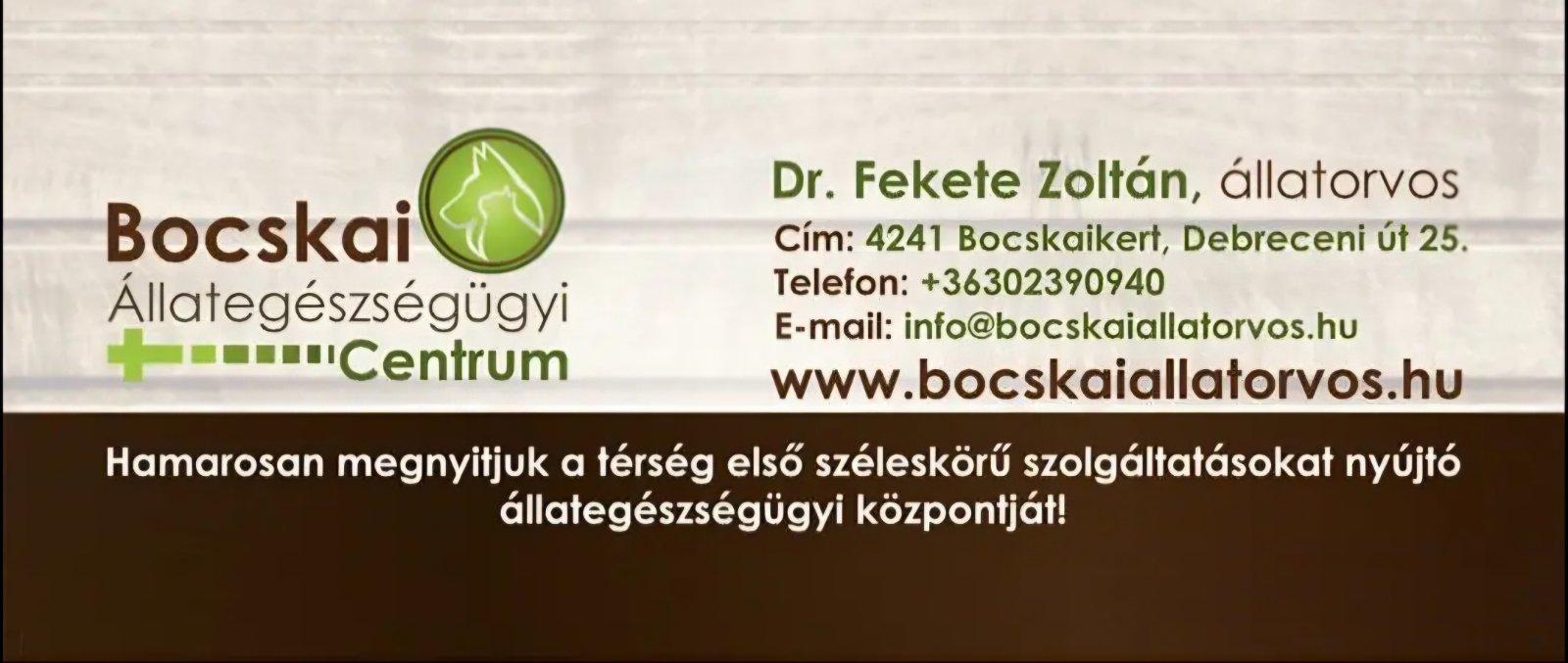 Fotók 2