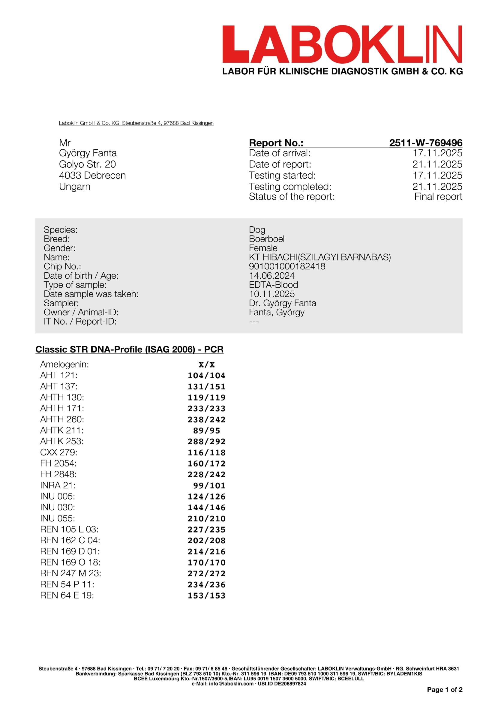 DNS Labor 1