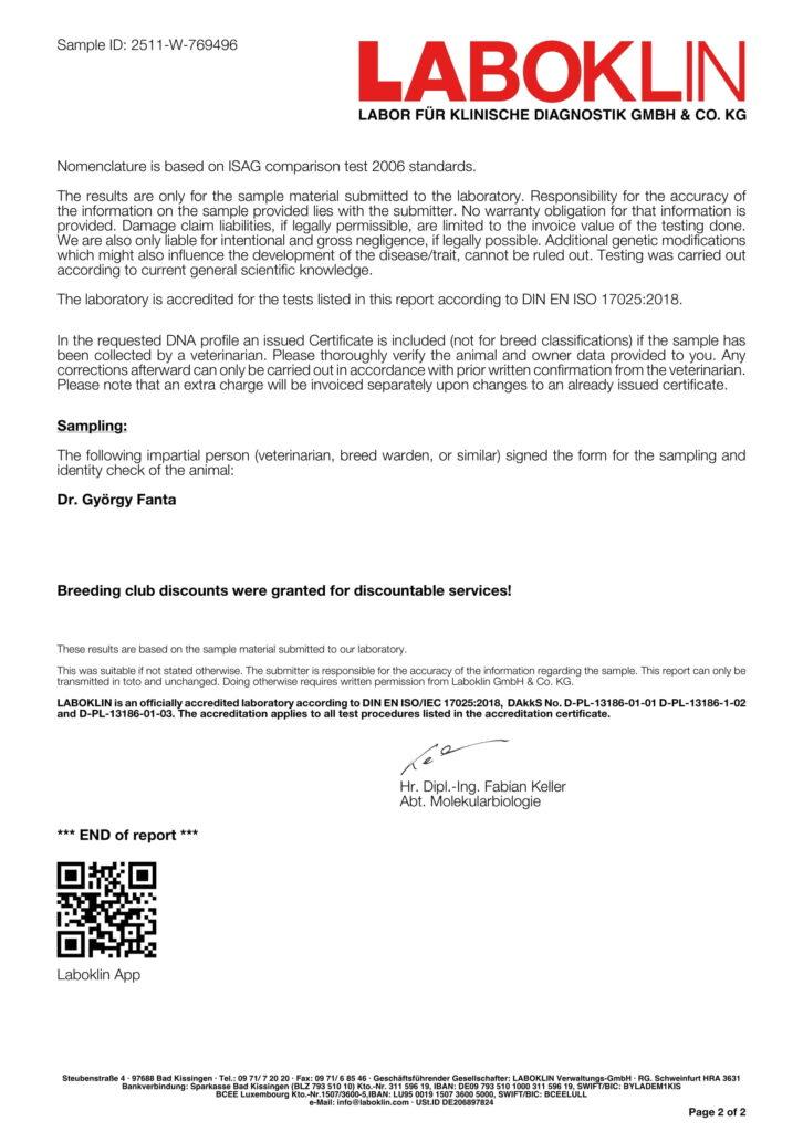 DNS Labor 2