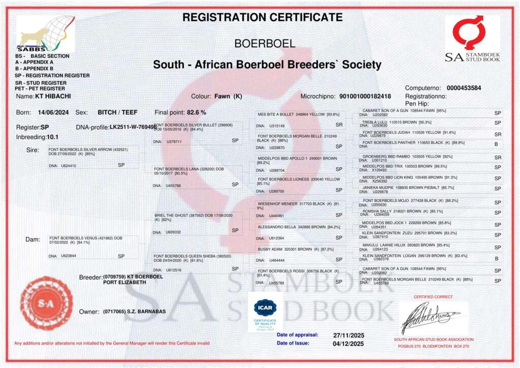 Documents 1