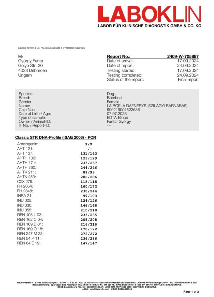 DNS Labor 1