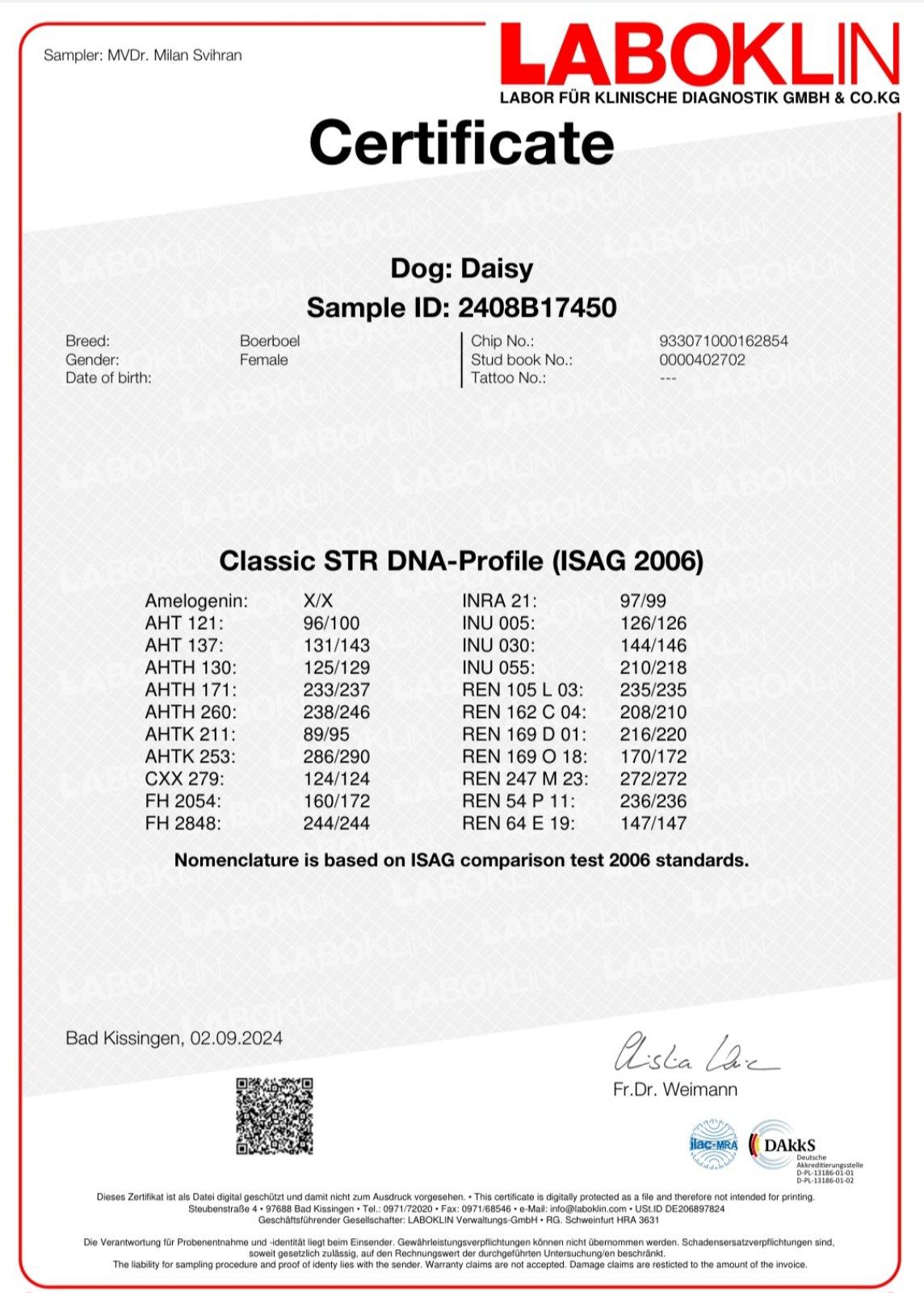 DNS Labor 1