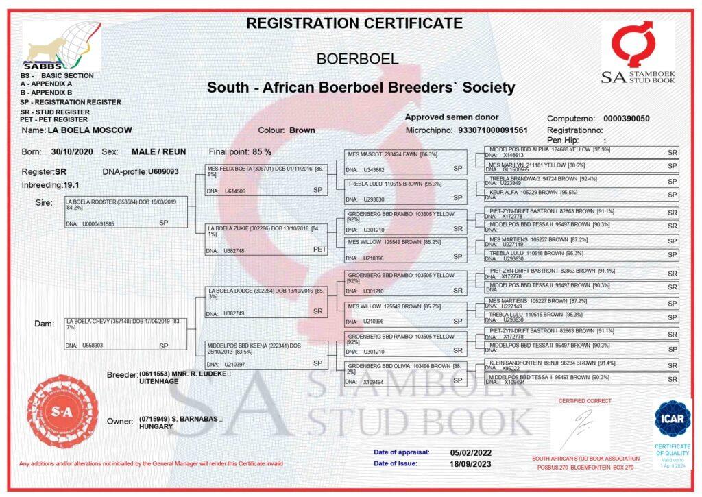 Documents 1