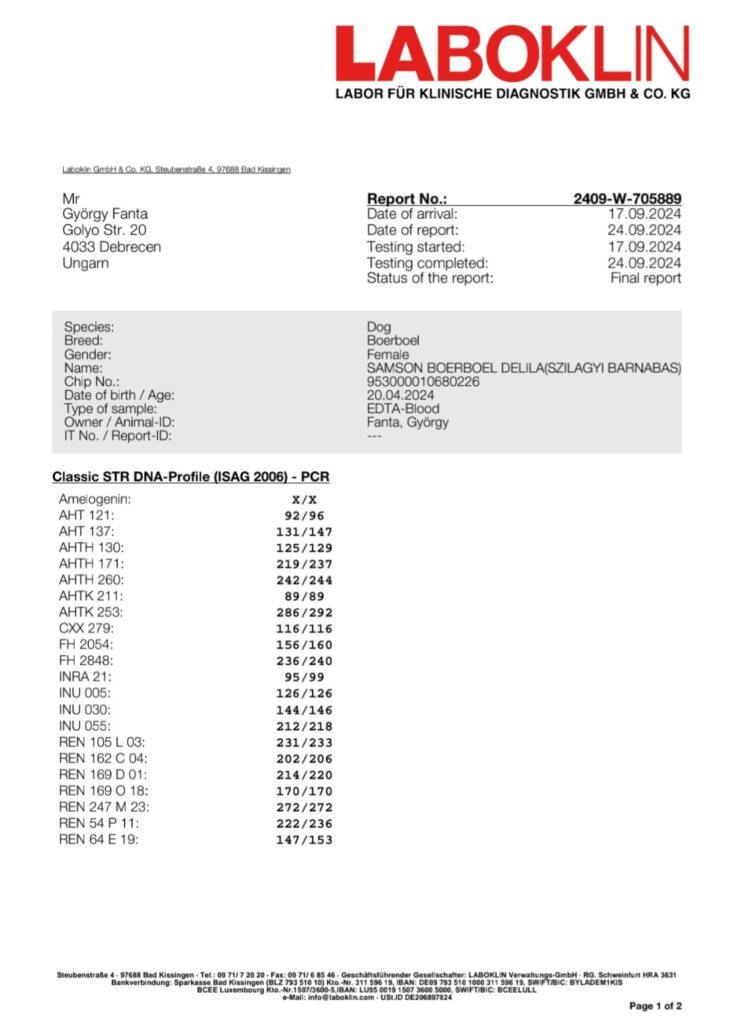 DNS Labor 1