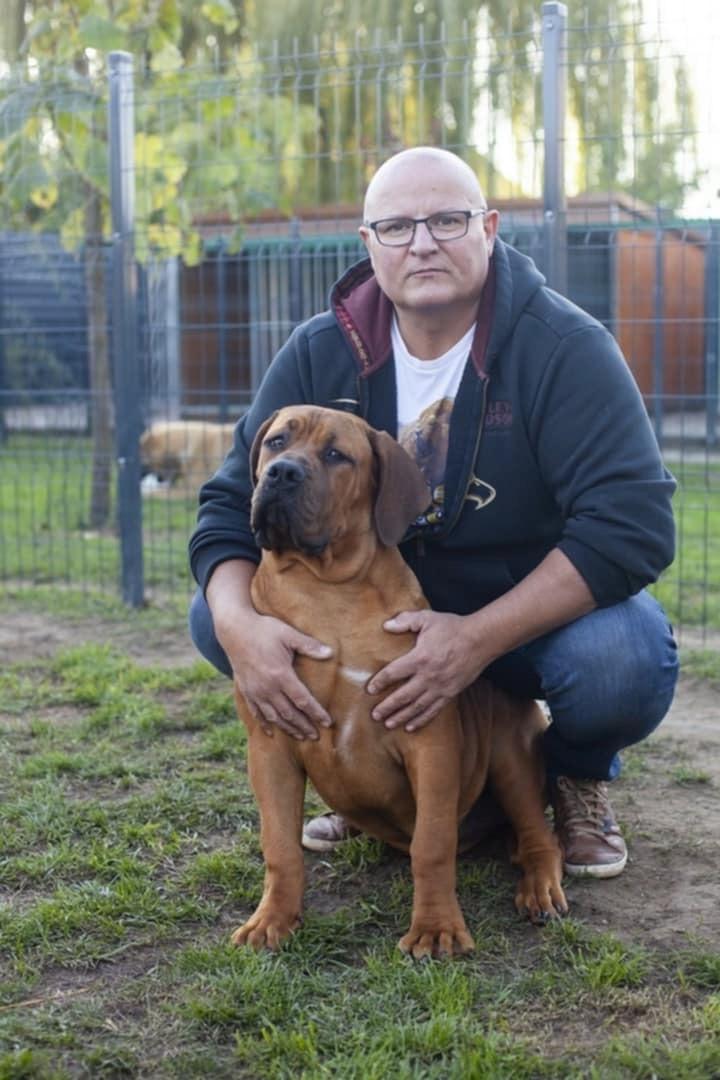 Samson Boerboels Delila 10