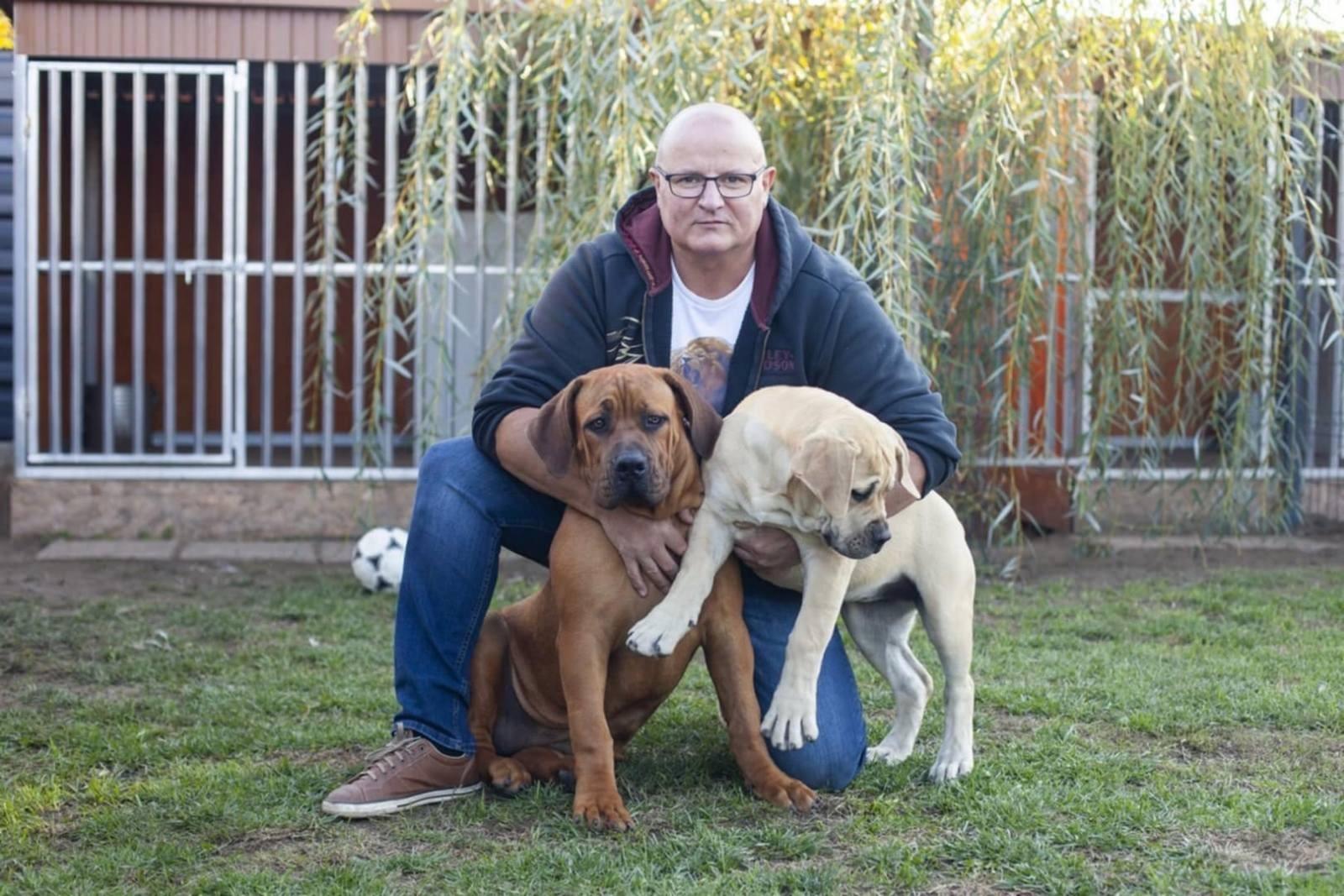 Samson Boerboels Delila 11