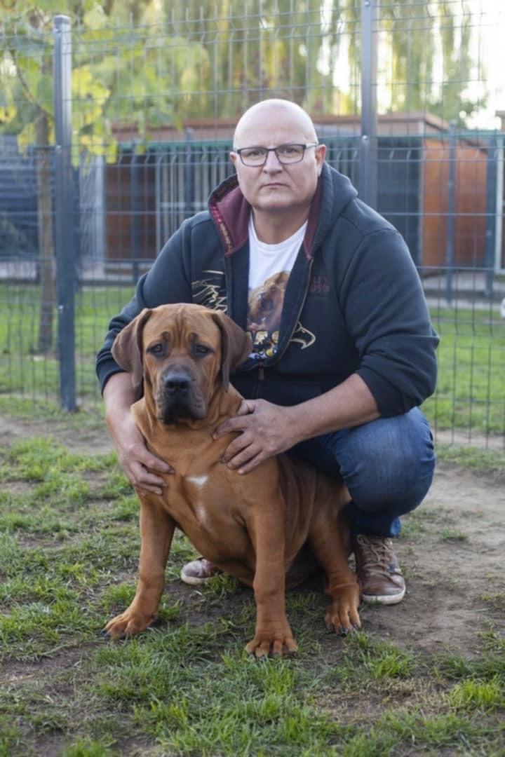 Samson Boerboels Delila 5
