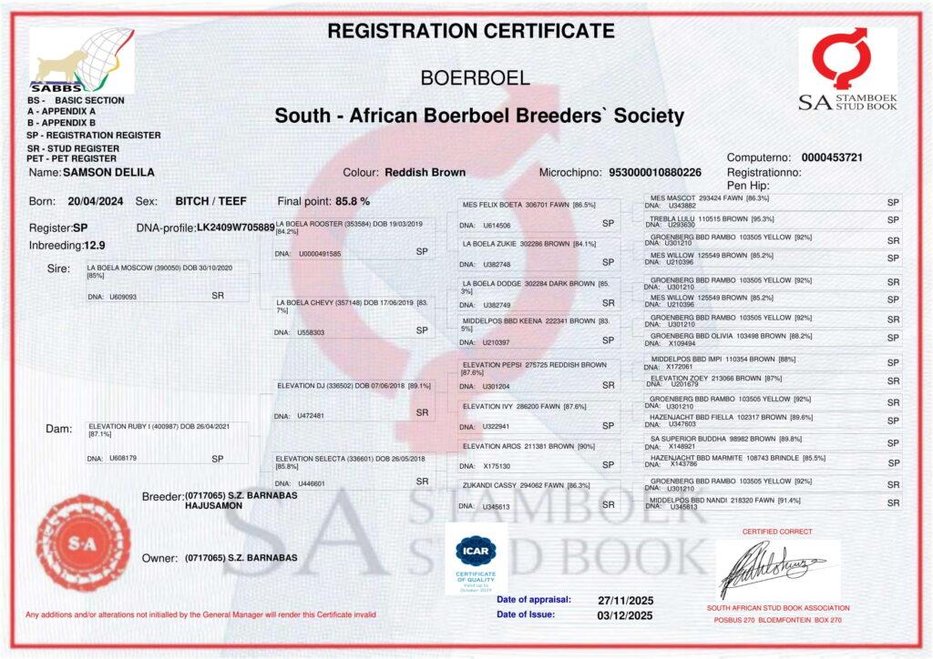Documents 1