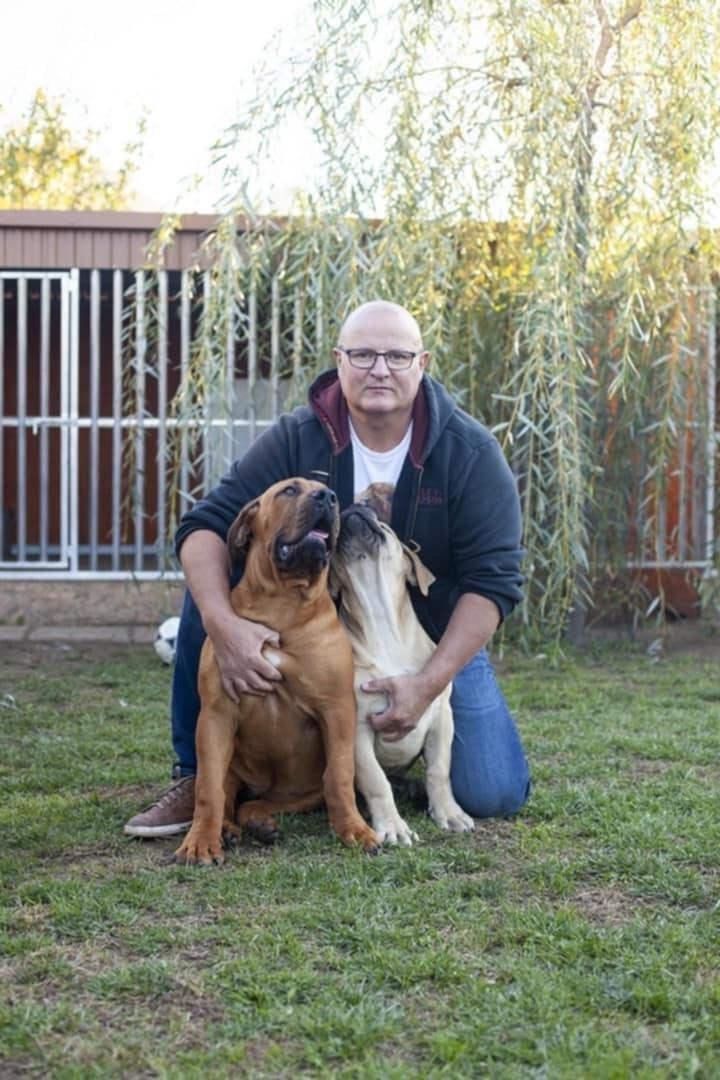 Samson Boerboels Lisa 12