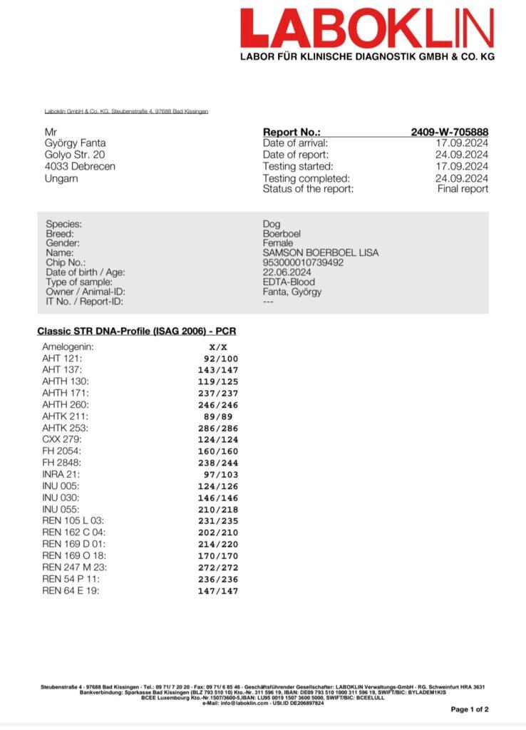 DNS Labor 1