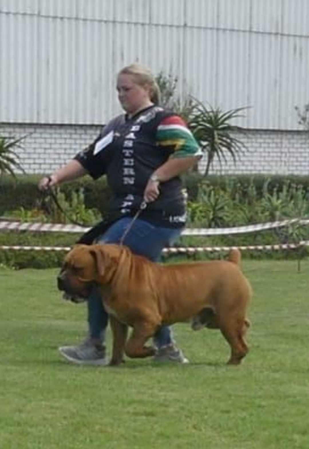 Scenes in South Africa 7