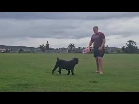 eletkepek afrika video10