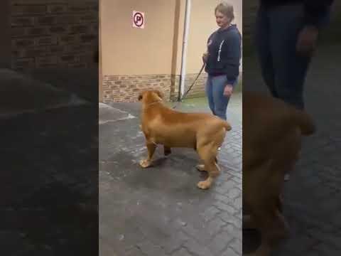 eletkepek afrika video09
