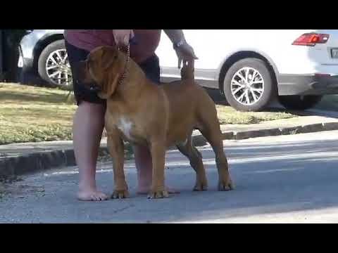 La boela moscow video 02