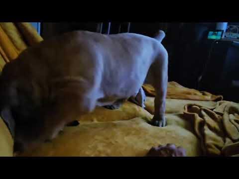 otthon video 02