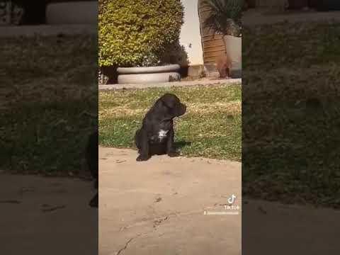 eletkepek afrika video07