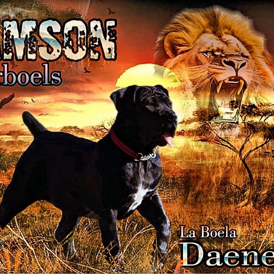 La Boela Daenerys