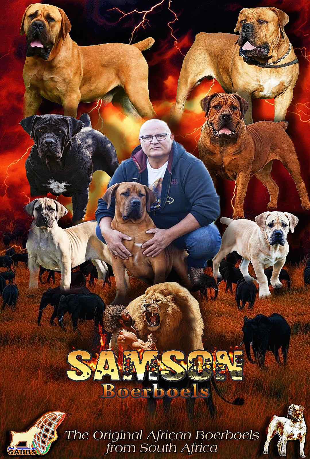Samson Boerboels